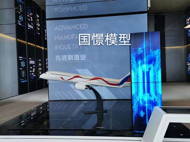 临沂飞机模型