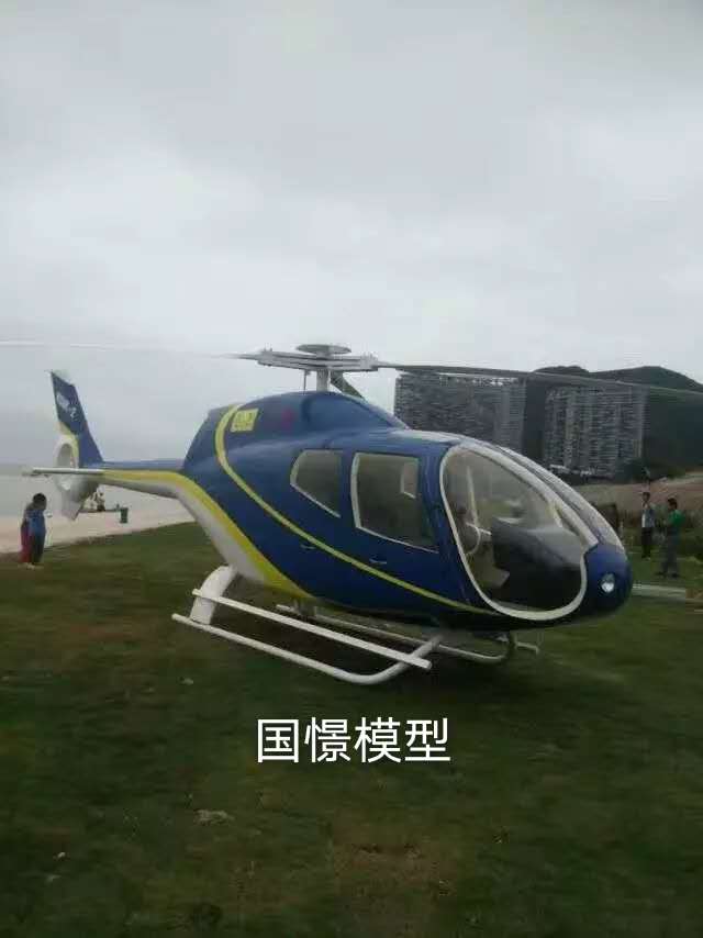 临沂飞机模型
