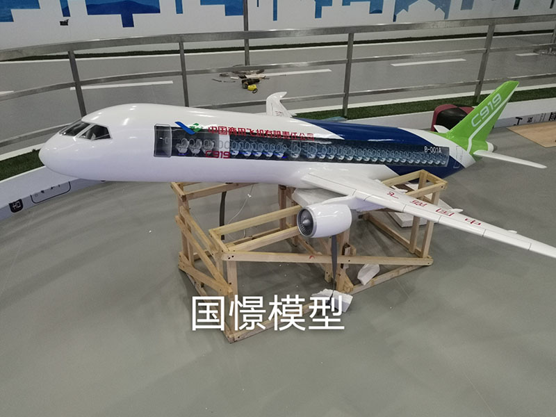 临沂飞机模型
