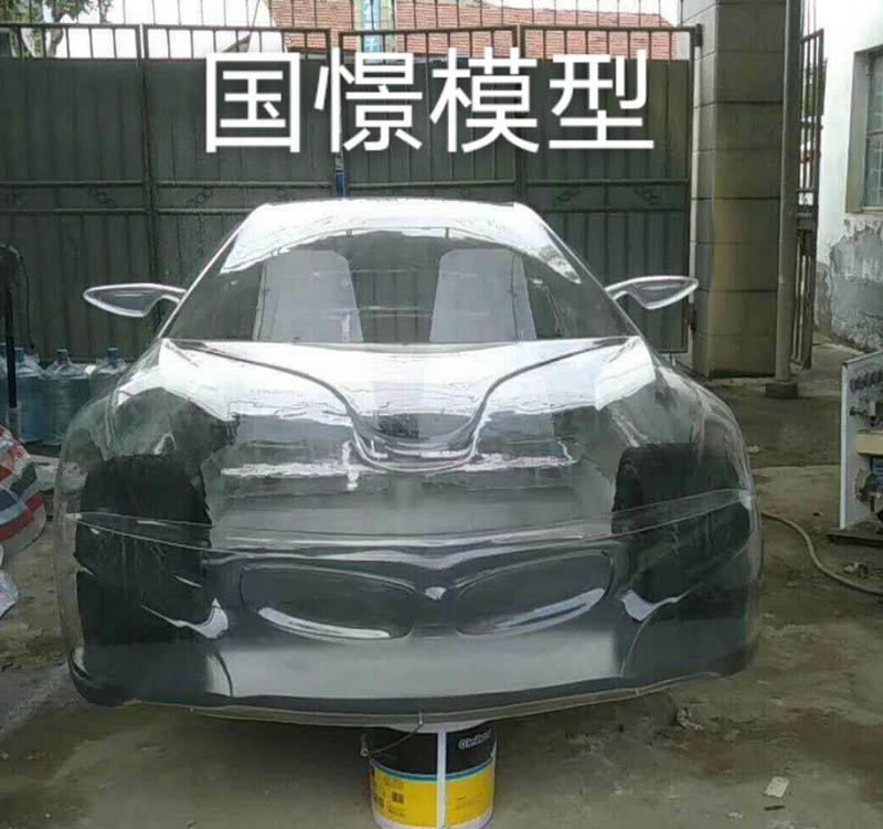 临沂透明车模型