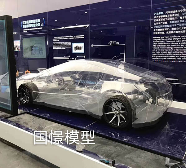 临沂透明车模型