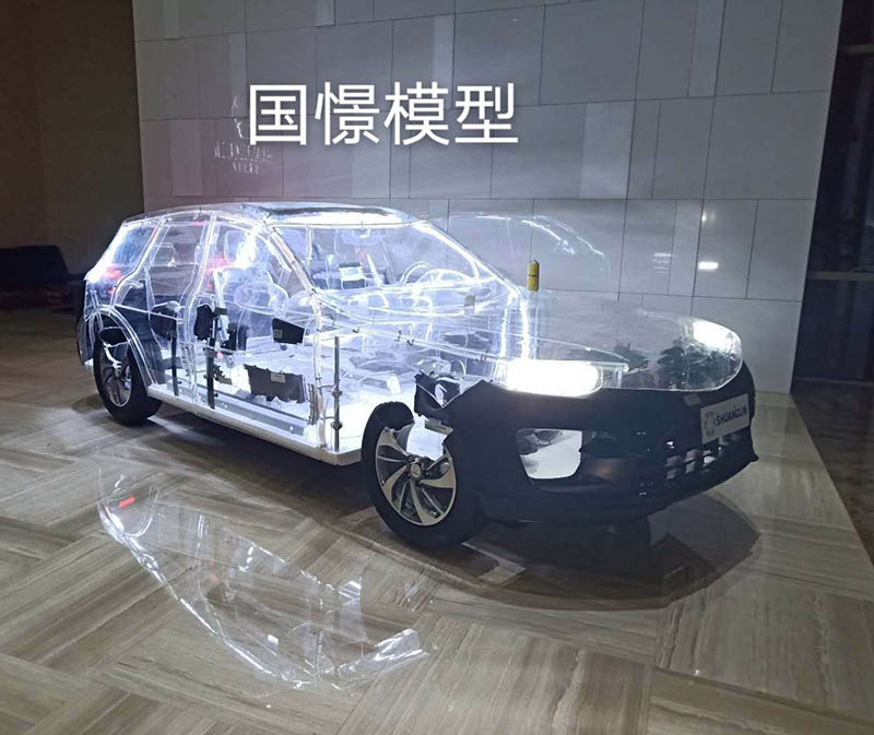 临沂透明车模型