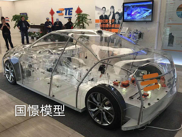 临沂透明车模型